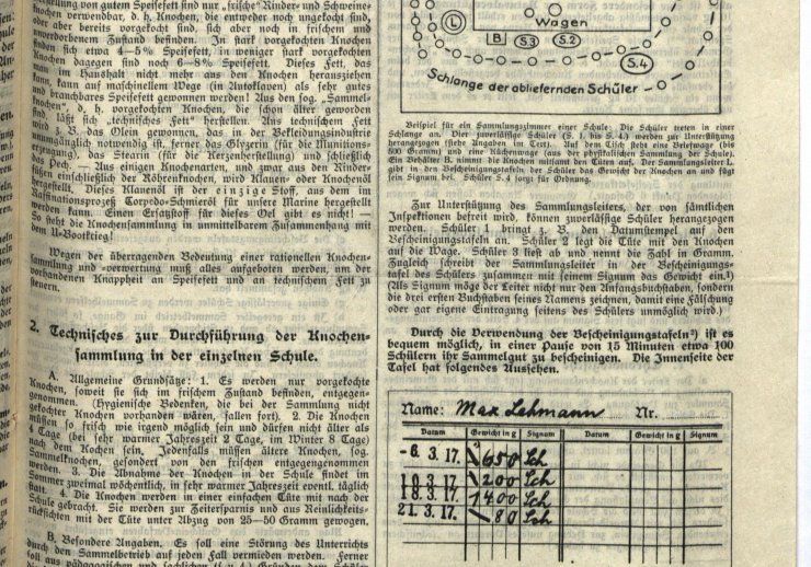 LAV NRW W, P 101/Provinzialschulkollegium Münster, Nr. 7049